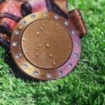 Custom Engravable Heavy Bronze Medal with Water Crystals on Grass